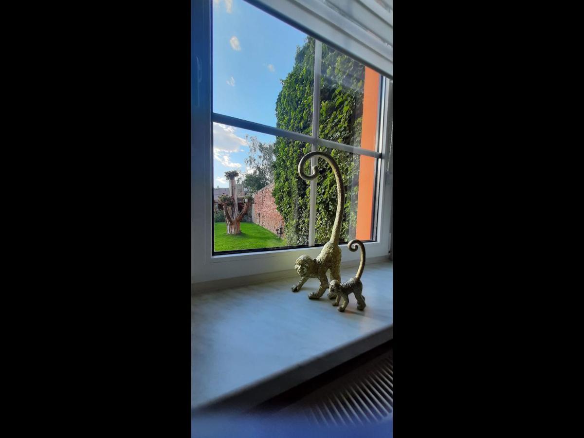 Zur Alten Gurkeneinlegerei Lübbenau Exterior foto